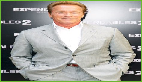 Arnold Schwarzenegger Favorite Food Cigar Music Color Hobbies Biography