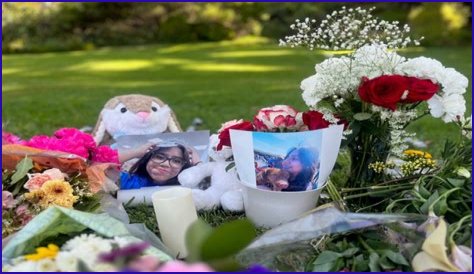 GoFundMe ; Crystal Cespedes Obituary